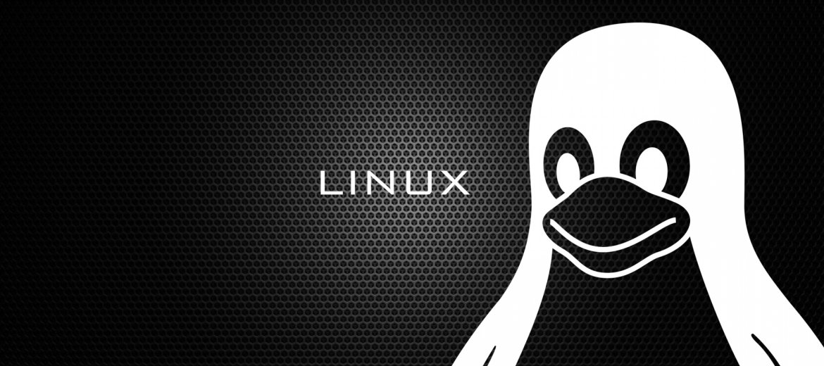 Servidor Linux sem mistérios!